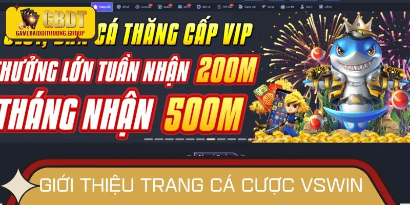 Giới thiệu chung về trang cá cược hiện đại năm 2025 - VSWIN